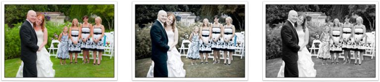 Paxton Portraits Wedding Photography 