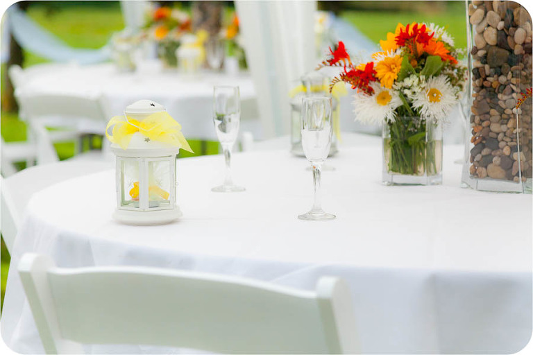 Affordable Arlington Wedding Photographers