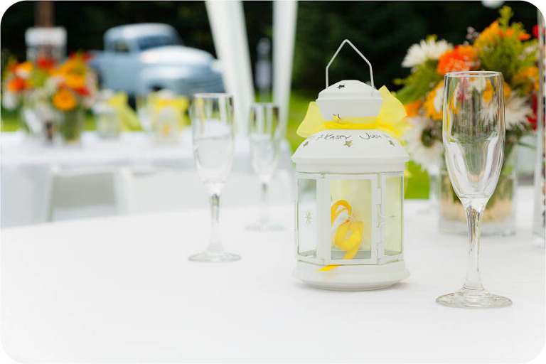 Affordable Arlington Wedding Photographers